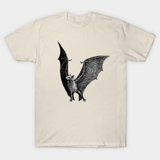 Bat Vintage Illustration T-Shirt